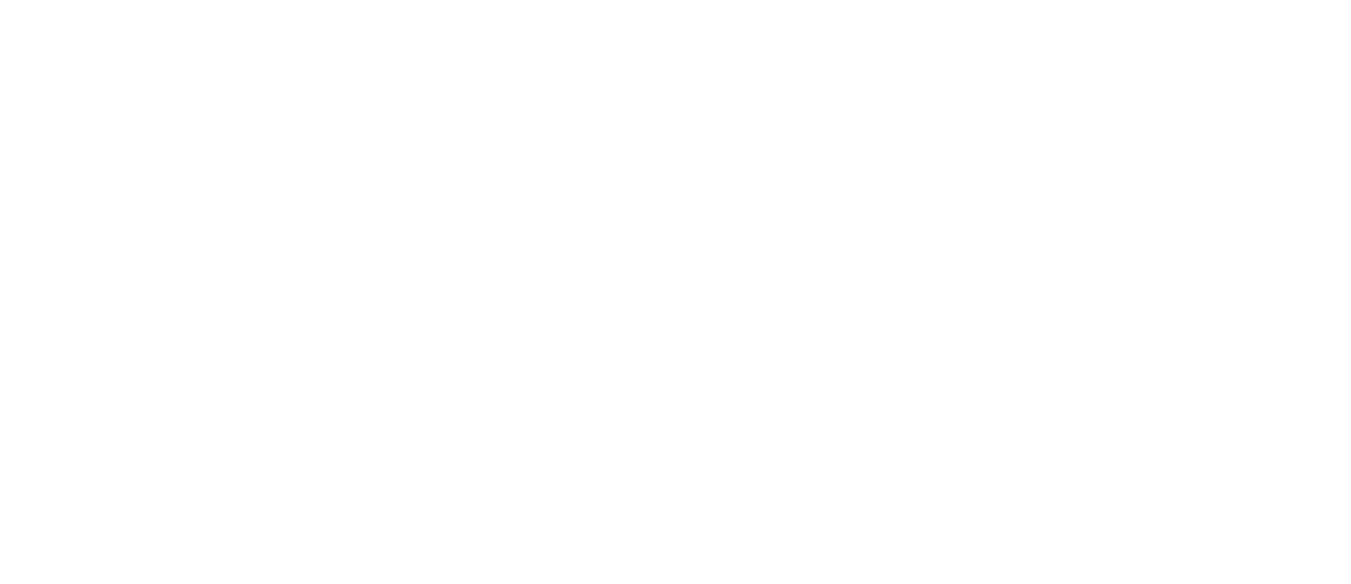 Solus City partner
