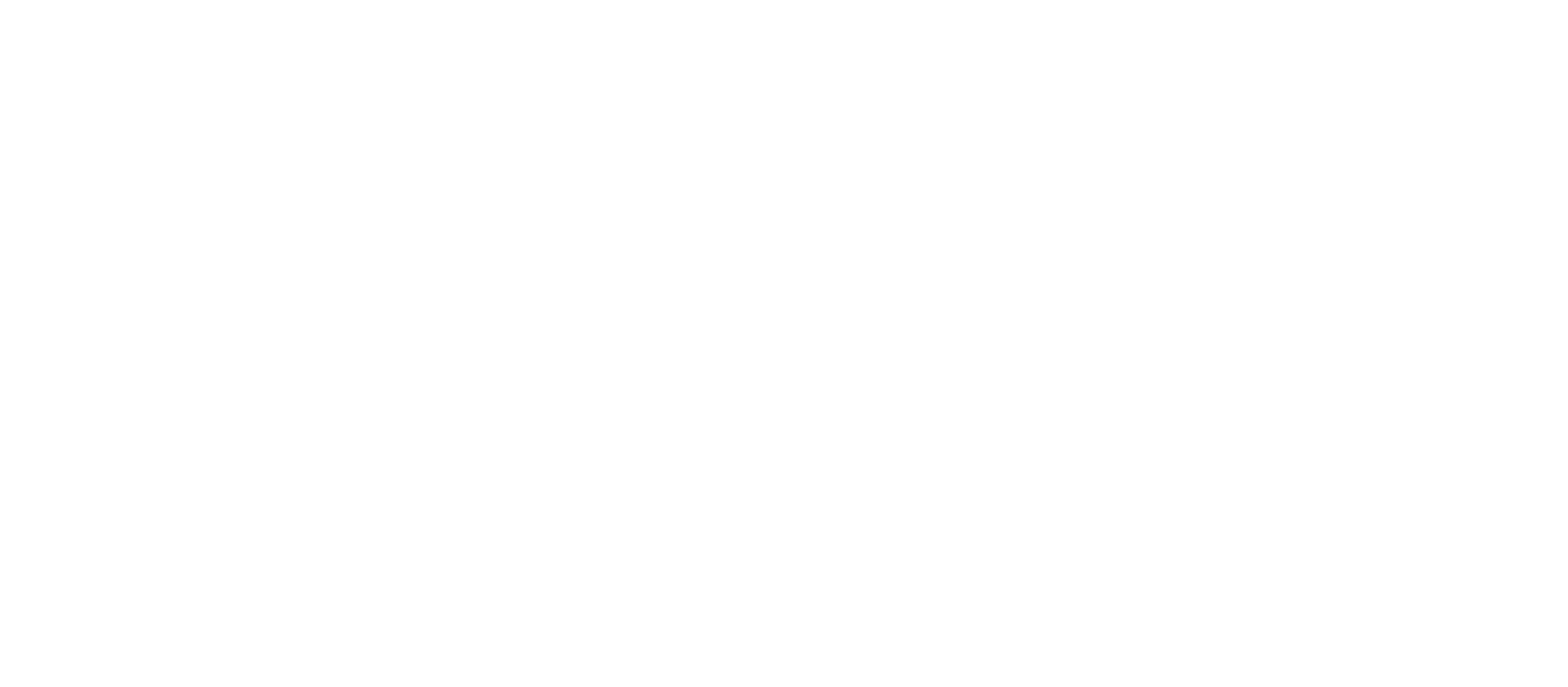 Solus City partner